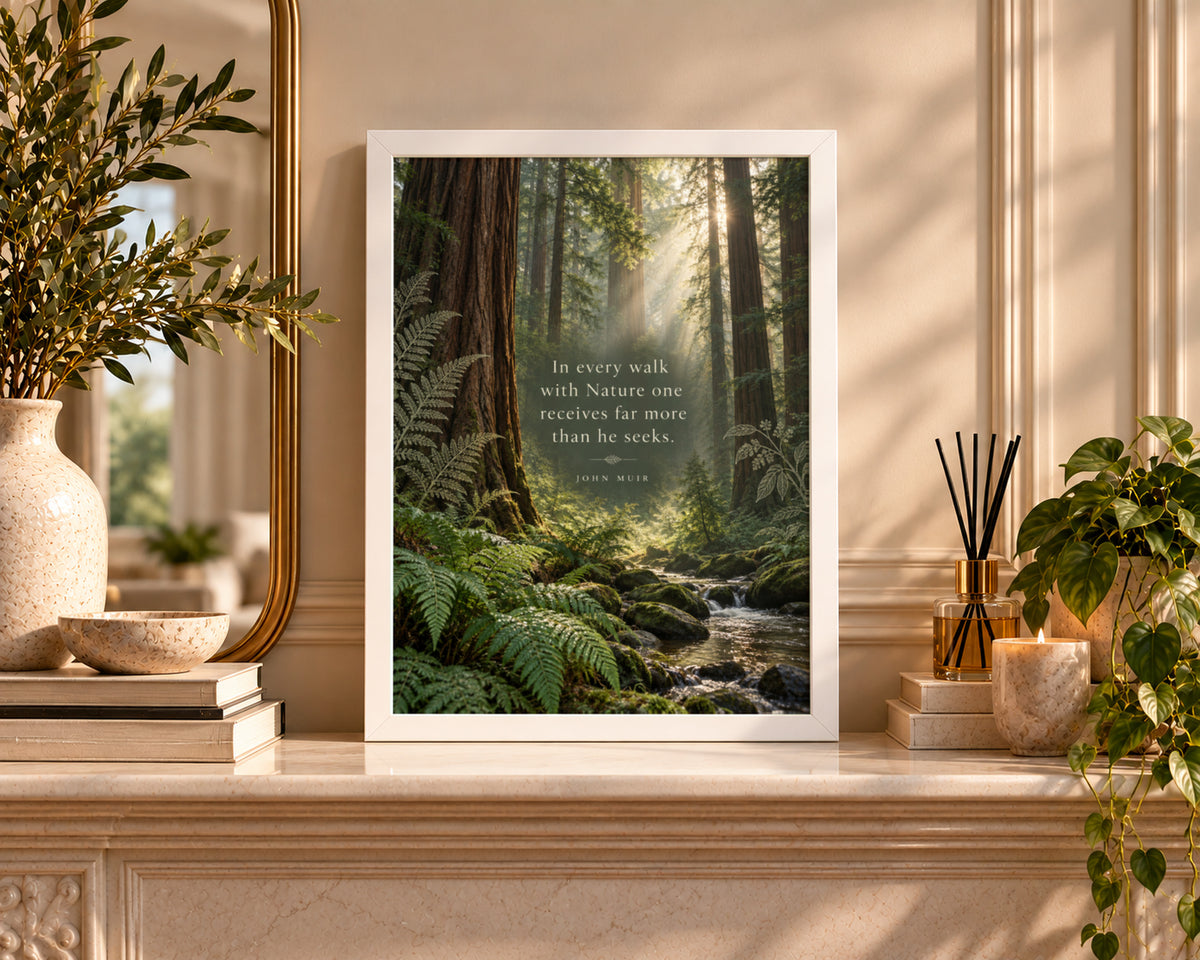 Sunlit Redwood Forest Quote – John Muir Nature Poster