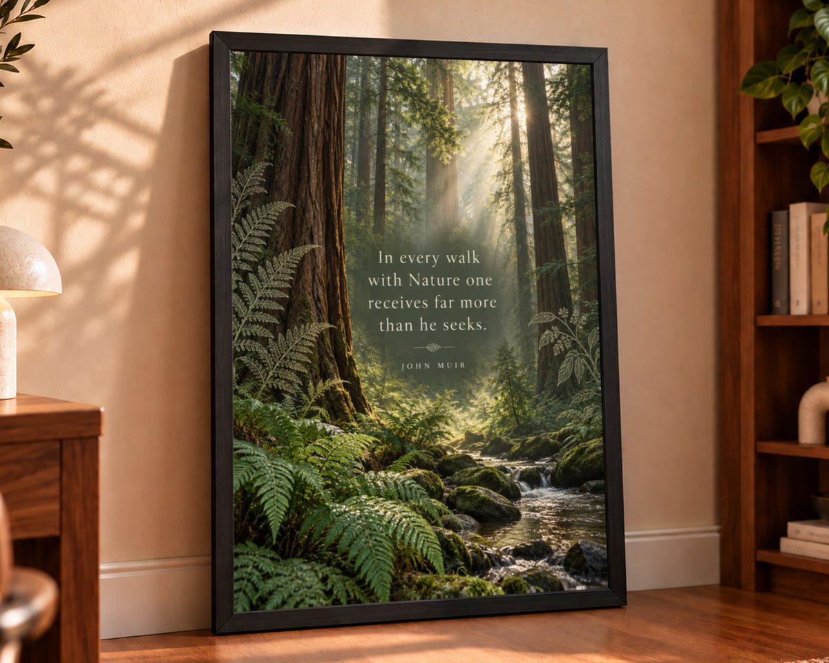 Sunlit Redwood Forest Quote – John Muir Nature Poster
