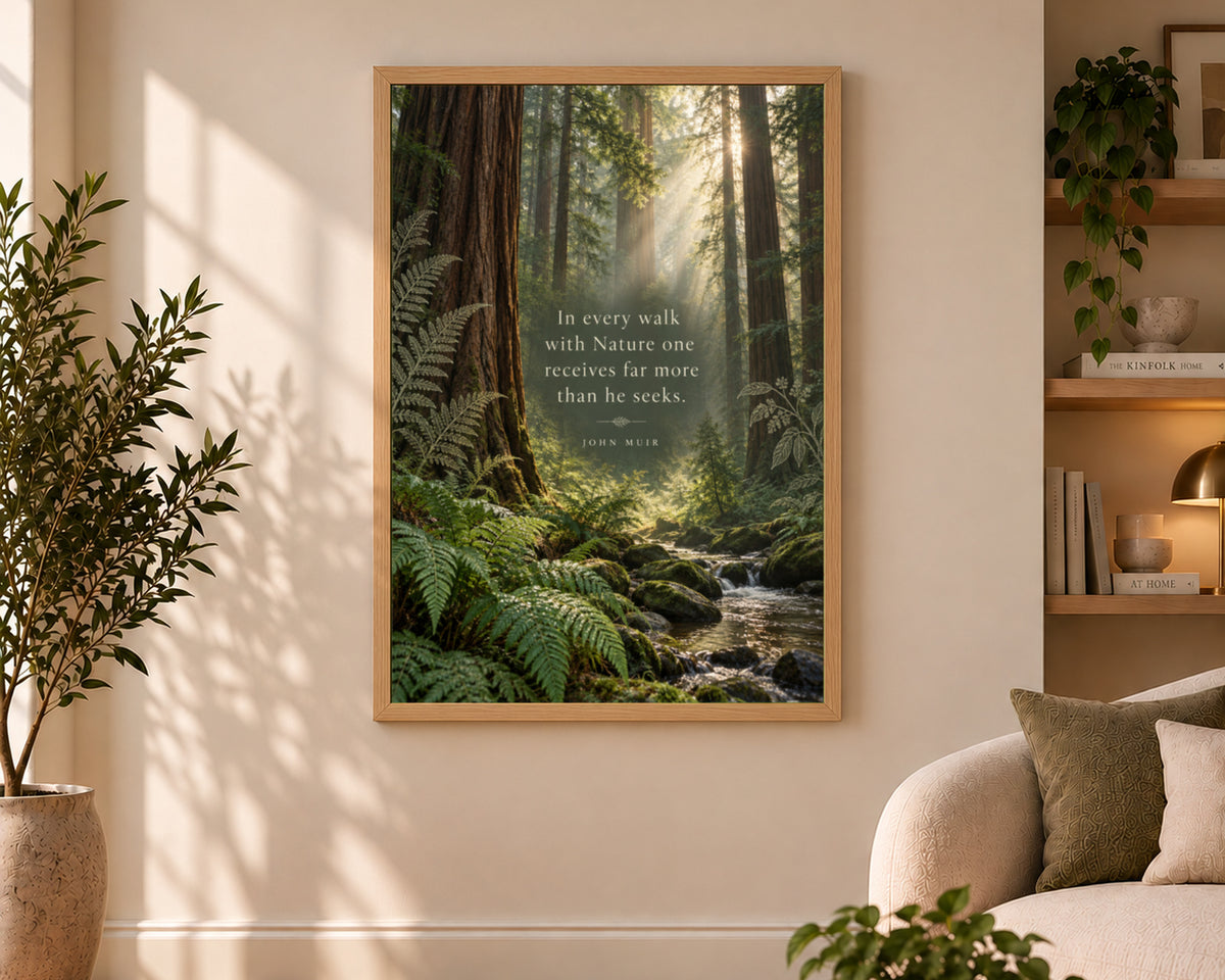 Sunlit Redwood Forest Quote – John Muir Nature Poster