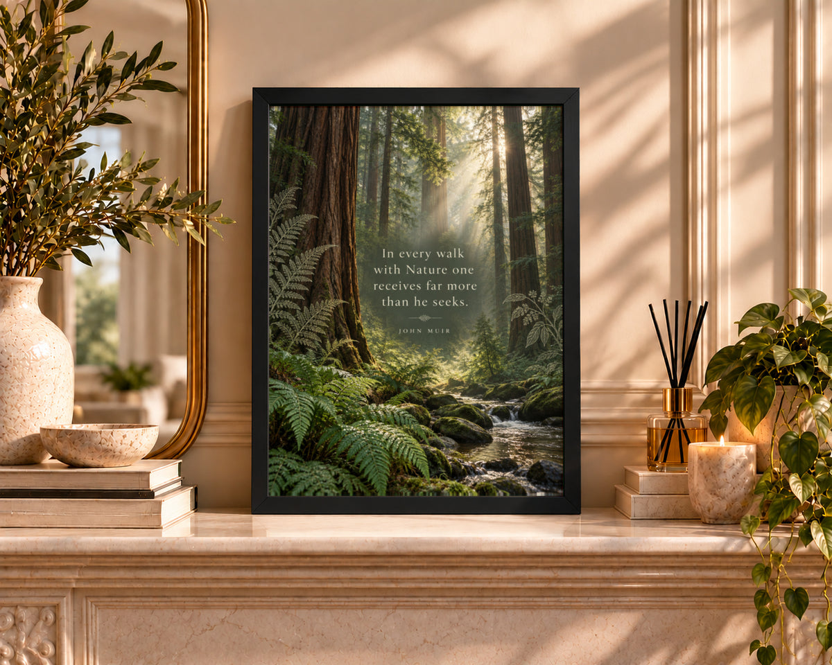 Sunlit Redwood Forest Quote – John Muir Nature Poster