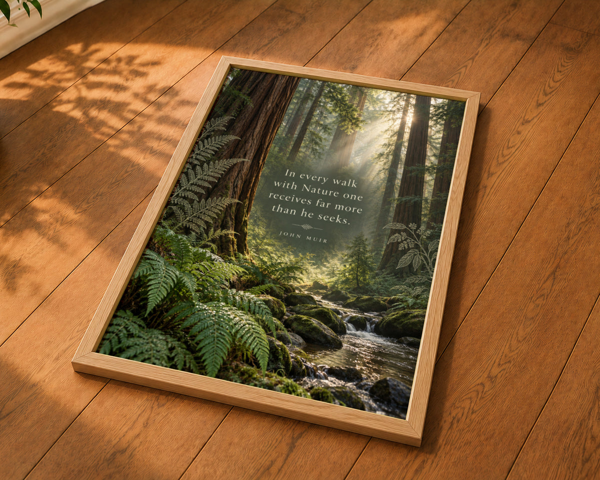 Sunlit Redwood Forest Quote – John Muir Nature Poster