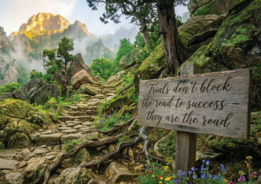 Trials Do Not Block the Road to Success